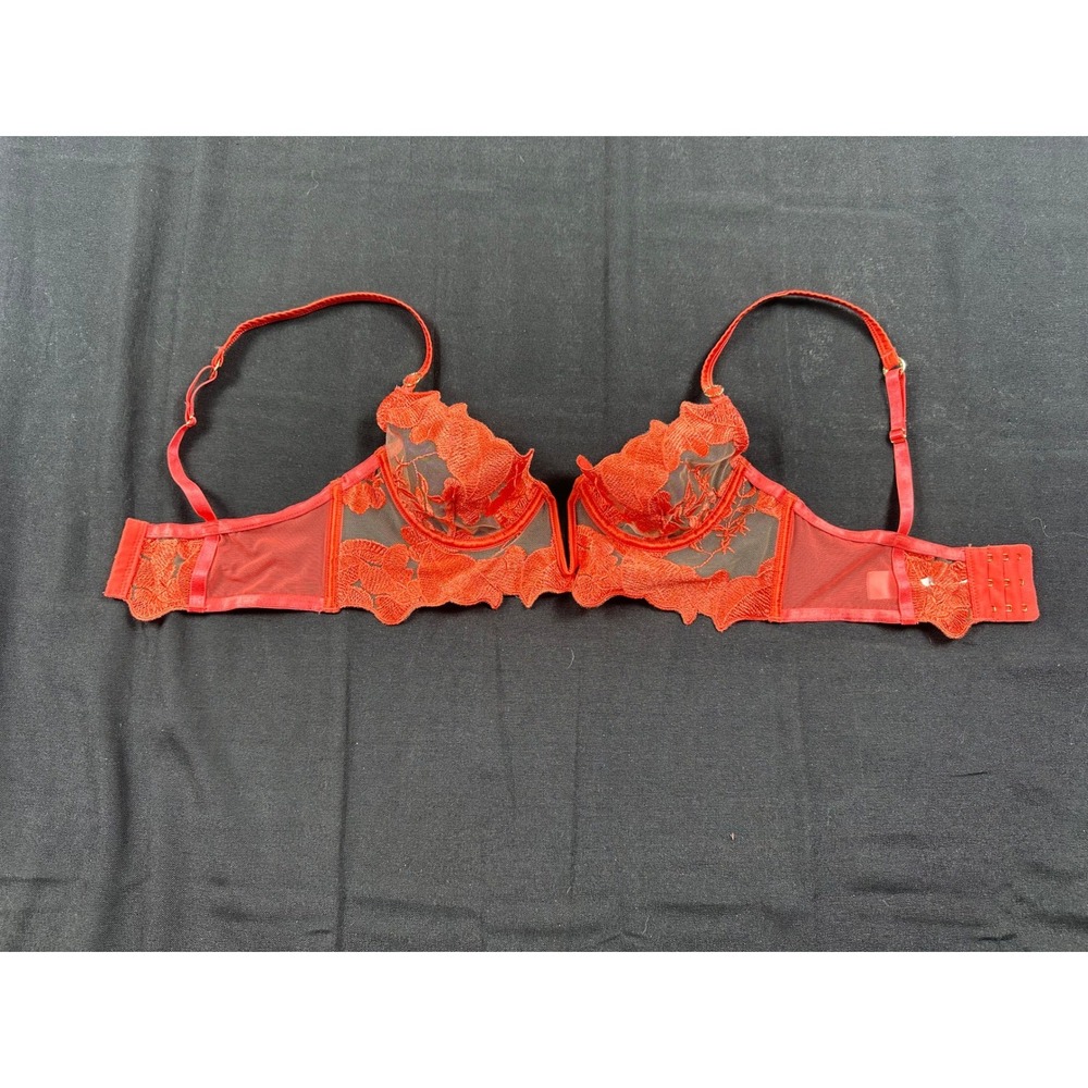 Bluebella Red Floral Embroidered Mesh Underwire Bra 32B Plunge Lingerie Red